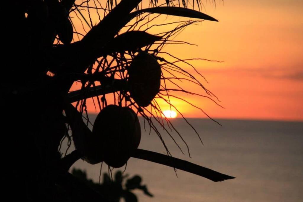 The Palms - Caribbean Paradise Aguadulce Buitenkant foto